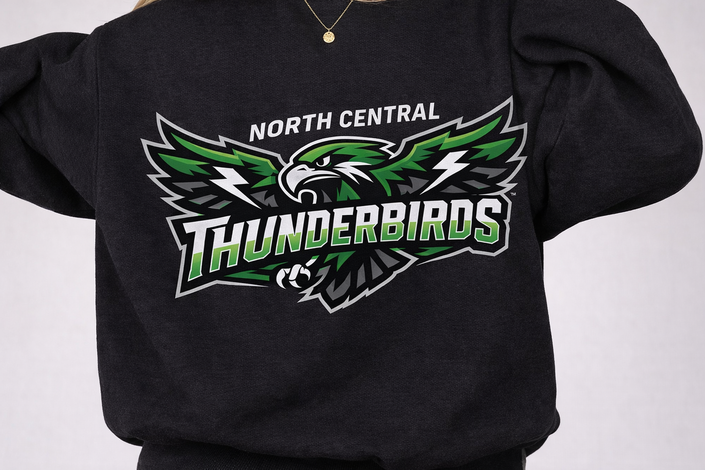 Thunderbird Logo